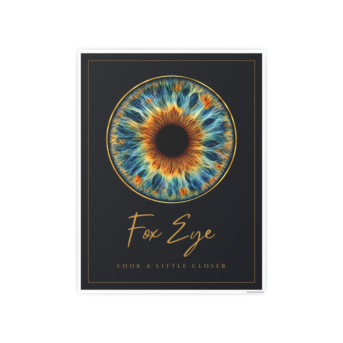 Fox Eye Iris Art Print | Navy and Gold Poster