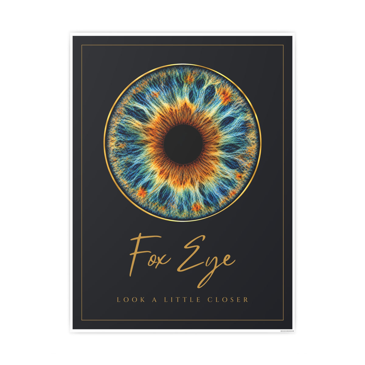 Fox Eye Iris Art Print | Navy and Gold Poster